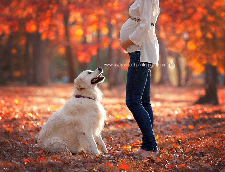 pregnancy photo with dog in park