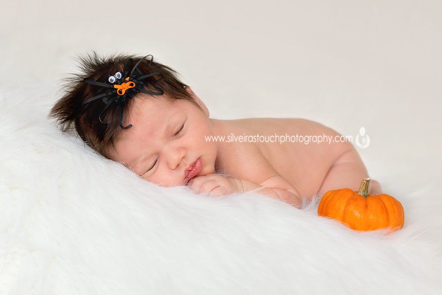 verona nj newborn and family photography