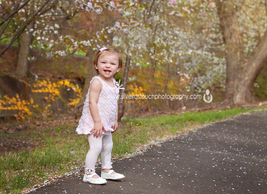 Cherry Blossoms NJ