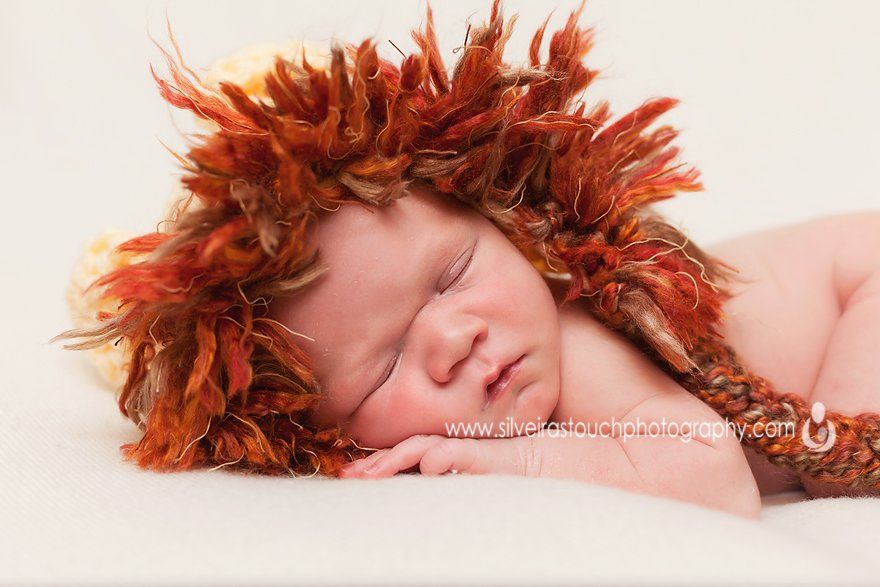 newborn photography baby lion