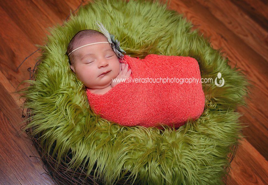 cedar grove nj newborn photographer
