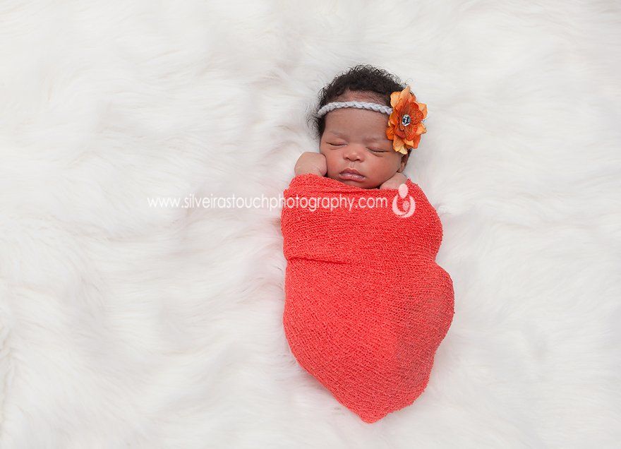 northern nj newborn photographer