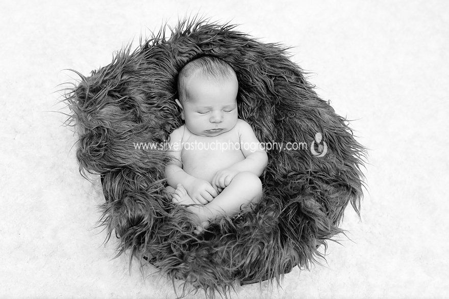 new providence NJ newborn photos