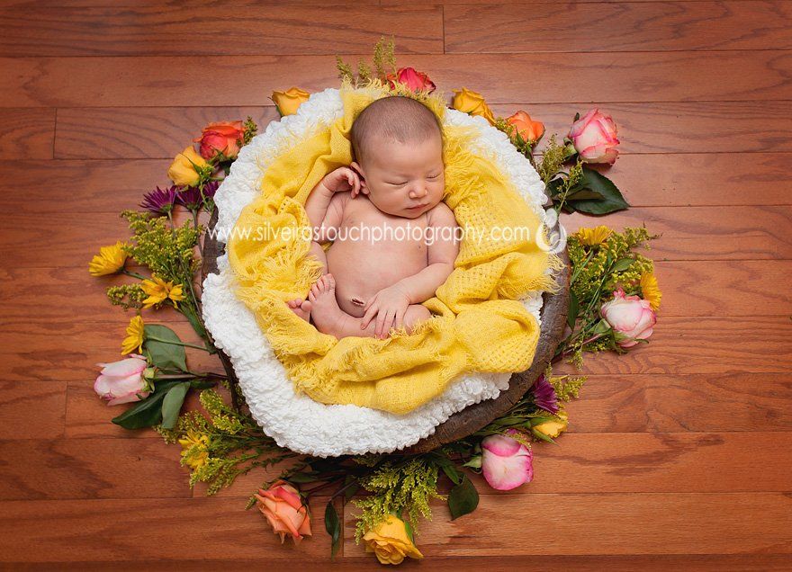 Newborn photography in Maplewood NJ
