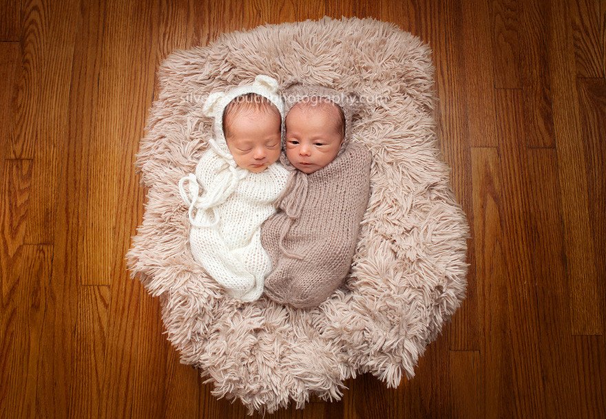 Union NJ twin newborn photographer