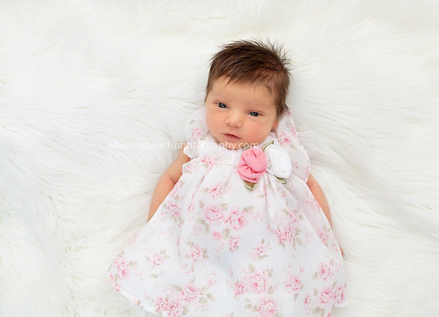 west orange nj newborn photographer
