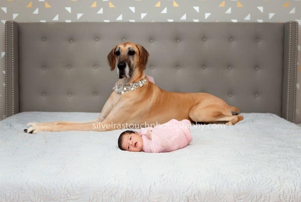infant photography Randolph NJ