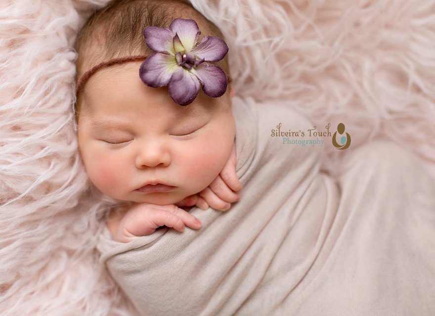 Cranford NJ newborn photography