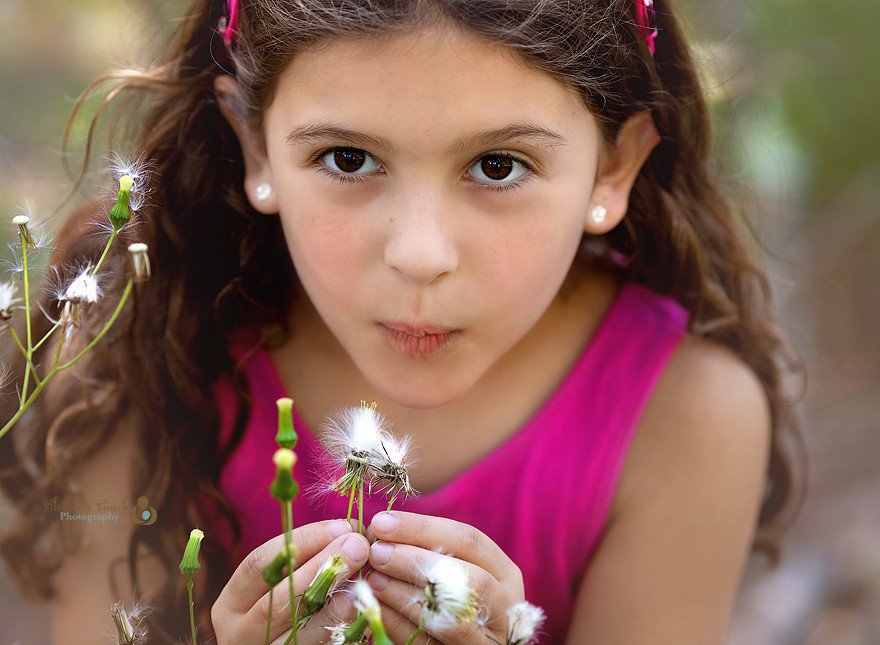 westwood nj family photographer