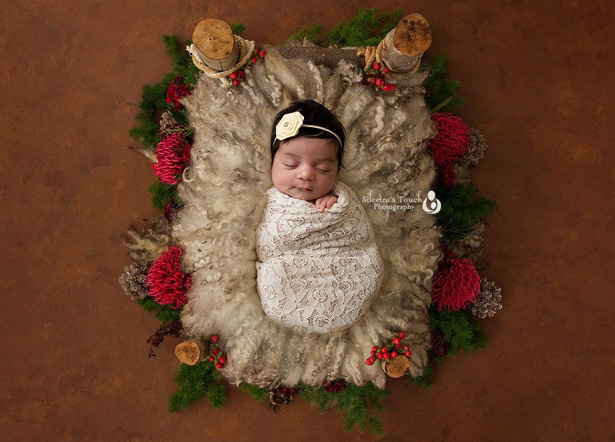 flanders nj newborn photographer