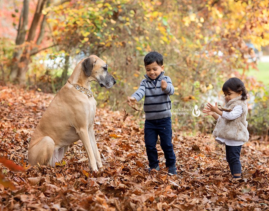 Denville NJ Family photography