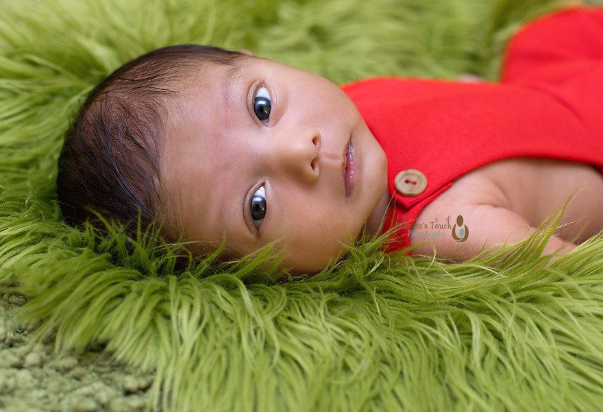 newborn photography parsippany nj 