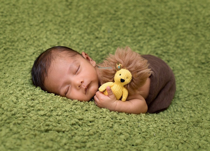 parsippany nj newborn photography