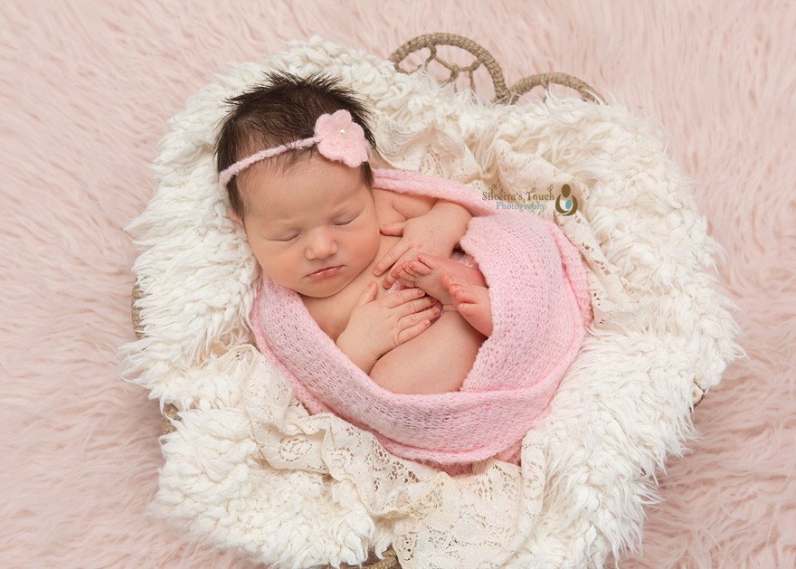 livingston nj newborn/ infant photorgapher