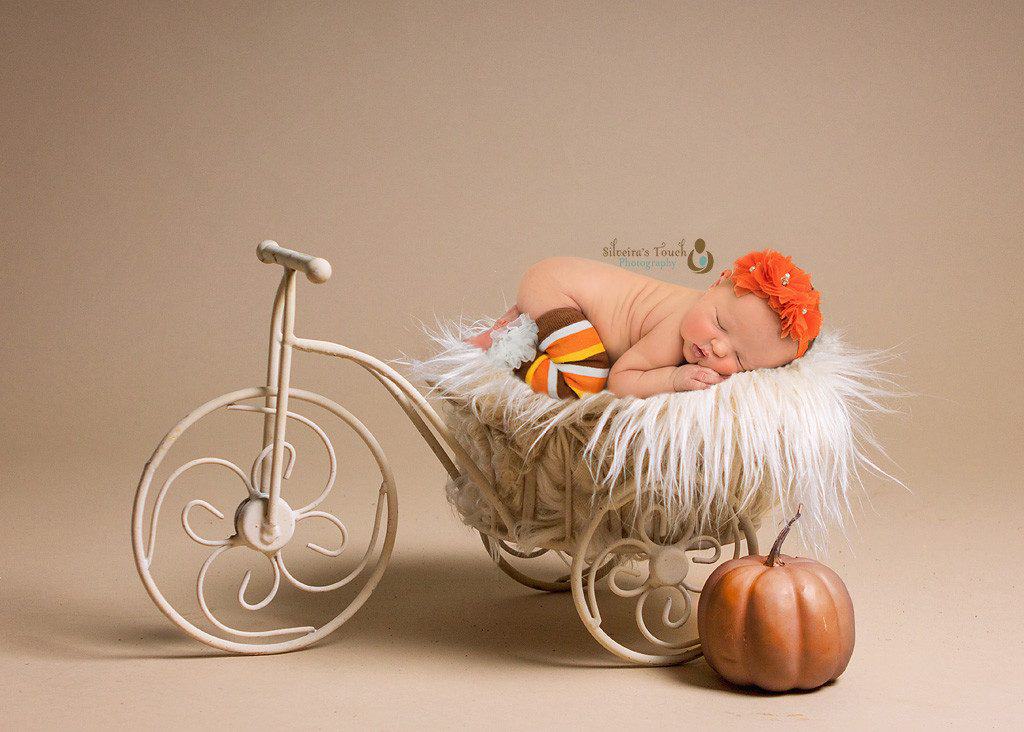 Pumpkin baby photo nj