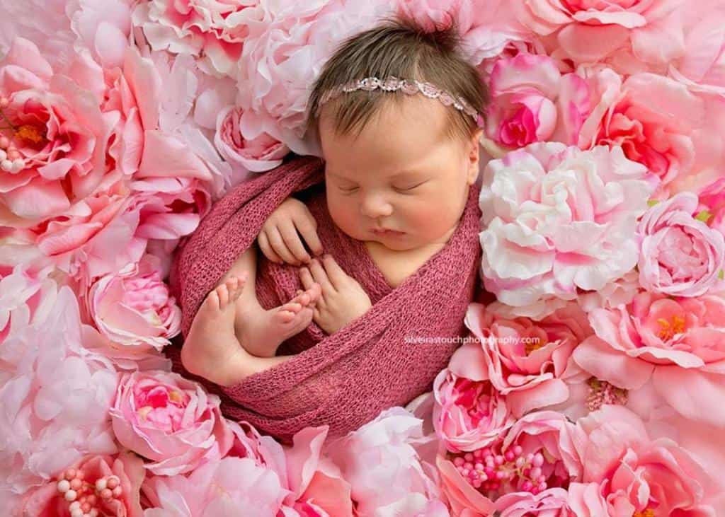 Flanders NJ Newborn Phortography on flower