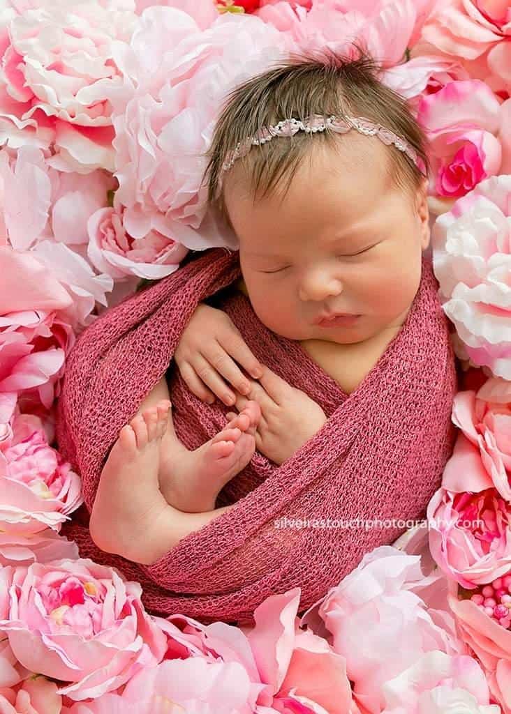 newborn phtoography on flower bed
