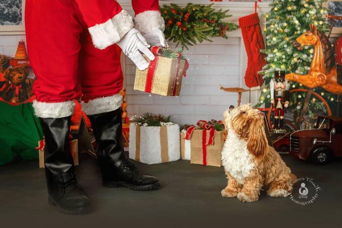 NJ Family santa photographer Randolph