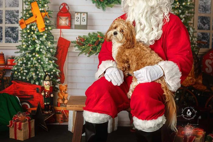 Santa studio portraits nj
