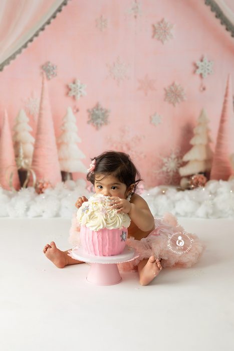cake smash birthday photos NJ