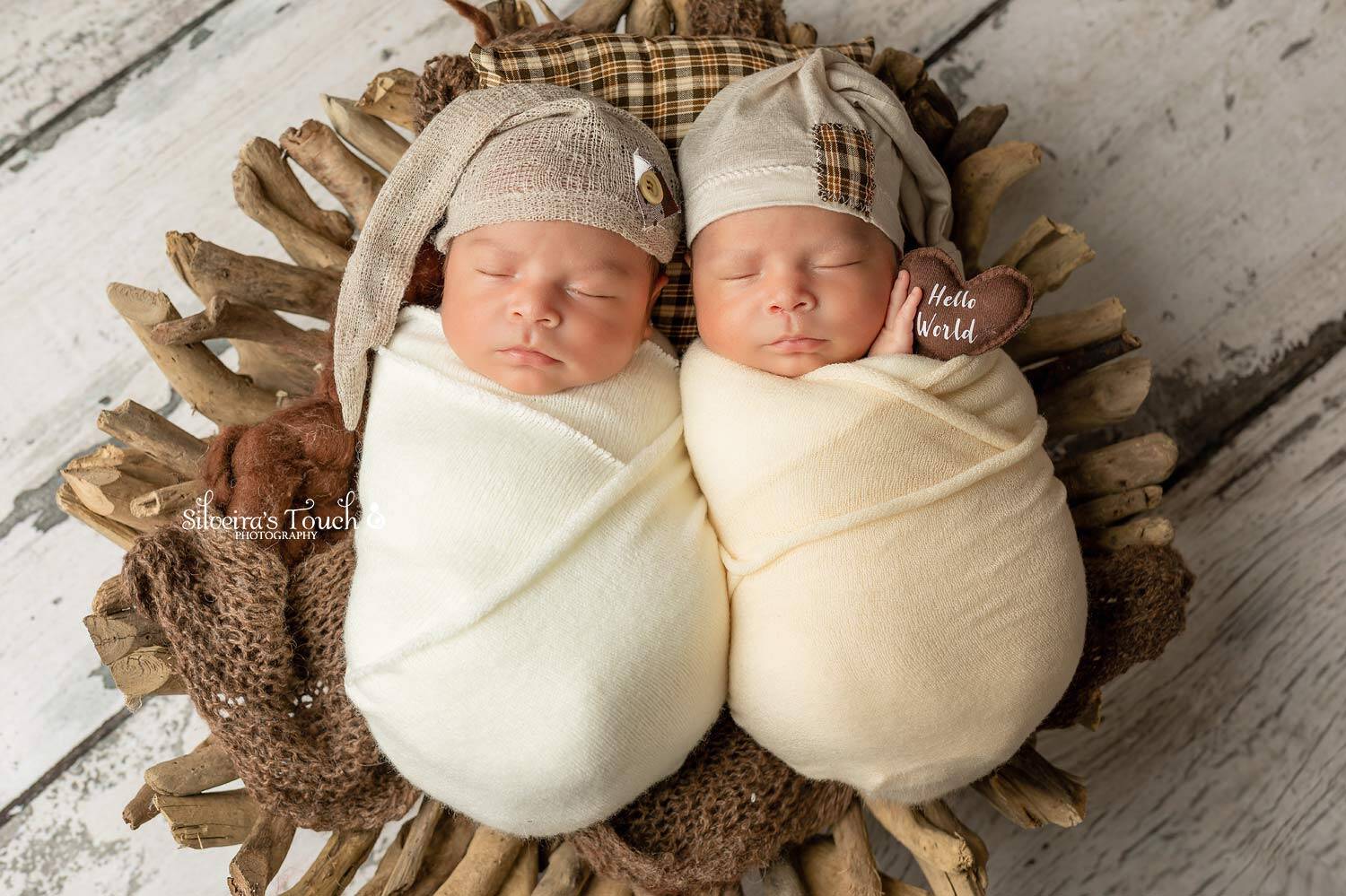 Budd Lake NJ Best Twins newborn photography