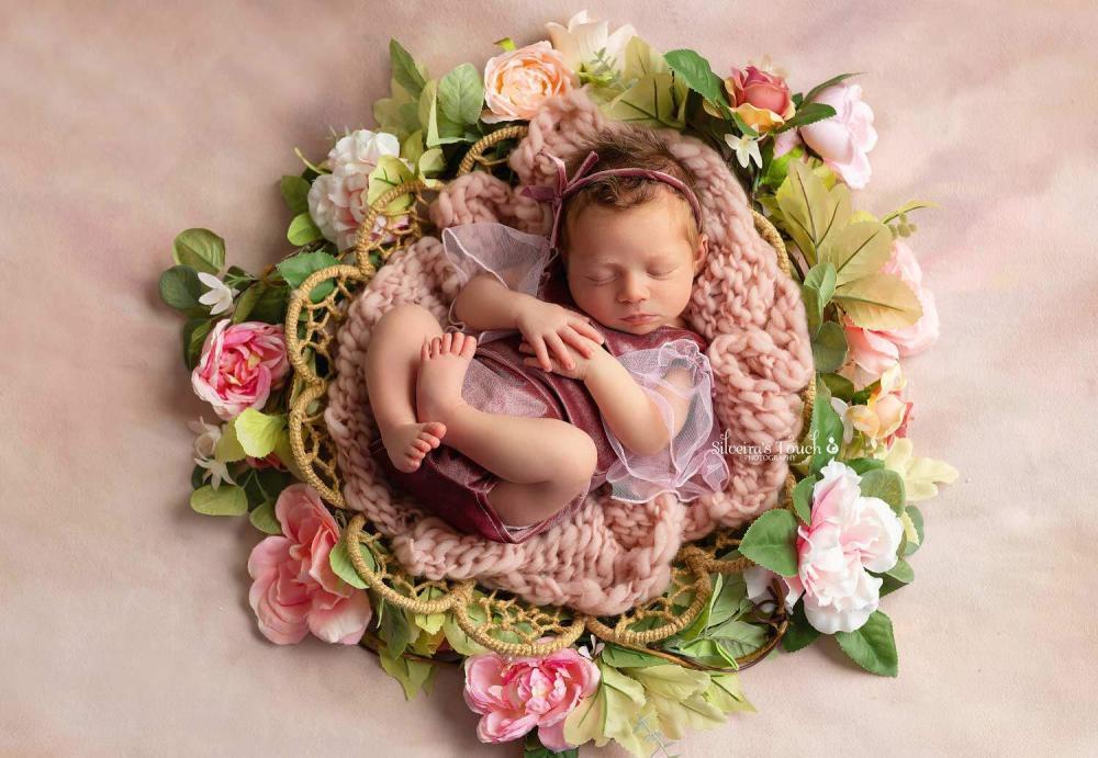 Mount olive newborn photo studio