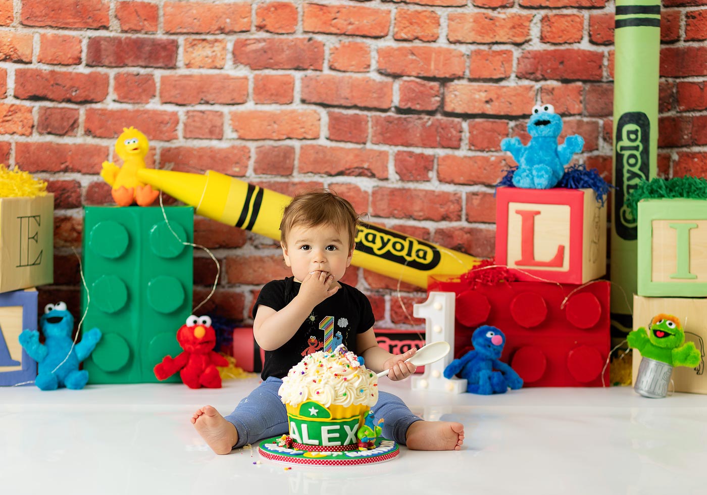 Cake smash sesame street theme photo