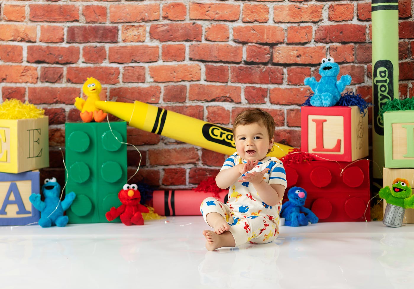 Sesame Street theme birthday session